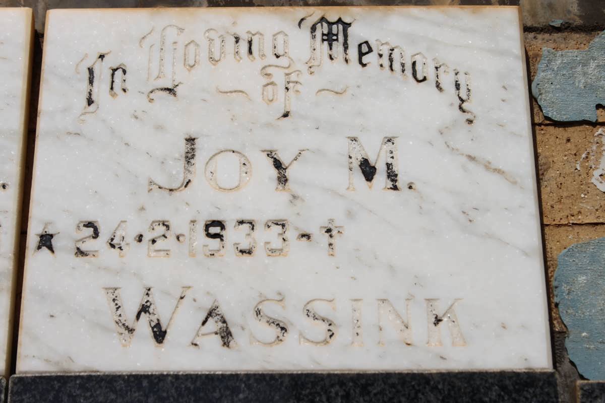 WASSINK Joy M. 1933-