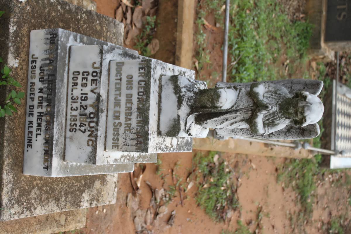 YOUNG Joev 1947-1956