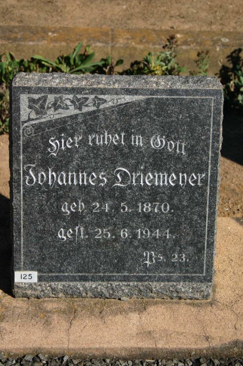 DRIEMEYER Johannes 1870-1944