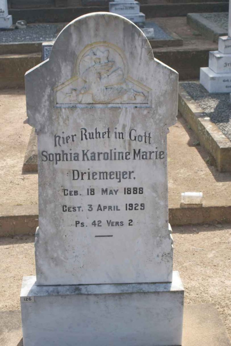 DRIEMEYER Sophia Karoline Marie 1888-1929