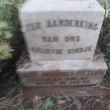 PIETERSE Johannes