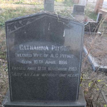 PITOUT Catharina 1884-1953