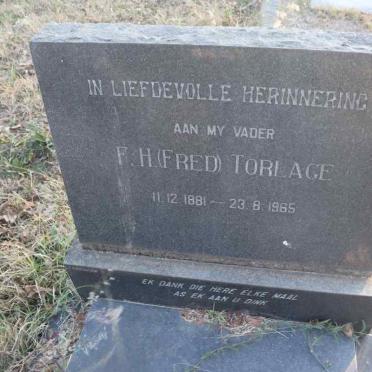 TORLAGE F.H. 1881-1965