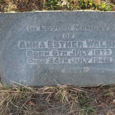 WALSH Anna Esther 1877-1946