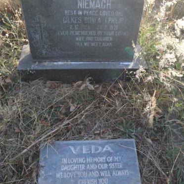 NIEMACH Gilkes Bonfa 1925-1979 :: NIEMACH Veda 1960-2005