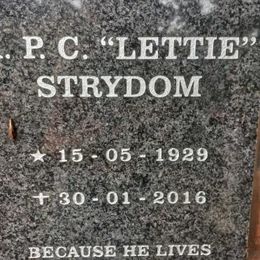 STRYDOM P.C. 1929-2016